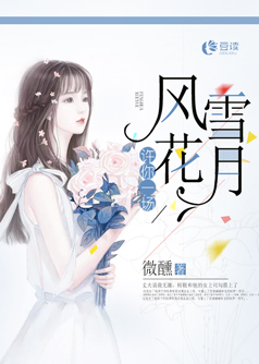 许你一场风花雪月【完本】